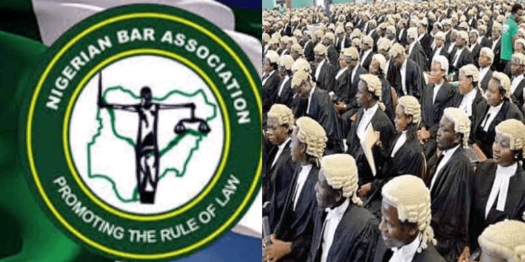 ICYMI : NBA Demands Immediate Release Of Farotimi