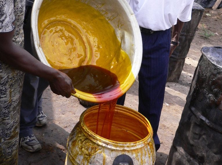 Malaysia’s palm oil development: Lessons from a global success story