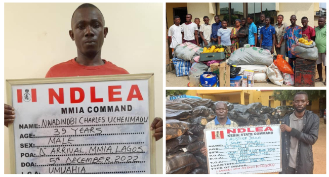 Japa Syndrome And Drug Trafficking