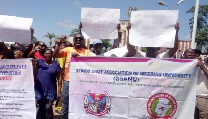 SSANU, NASU Strike Plunges UI Into Darkness