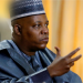 President Tinubu Not Discriminating Against North – VP Shettima