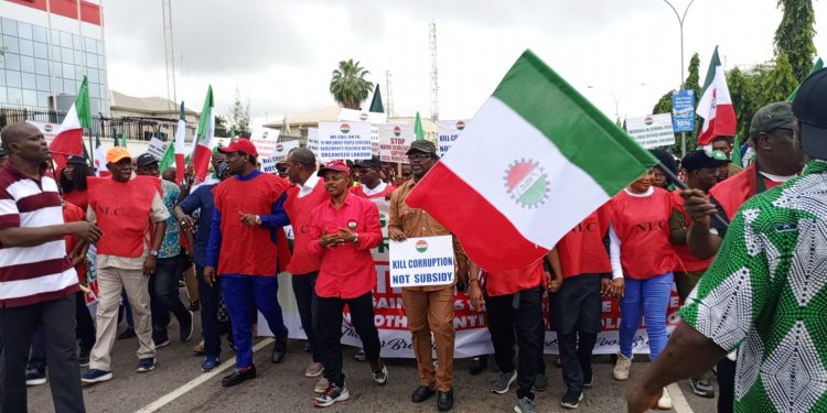Opposition Reps Propose Over N100,000 Minimum Wage