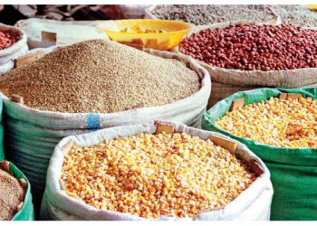 UN Targets Nigeria, Others With Food As Hunger Crises Hit Africa