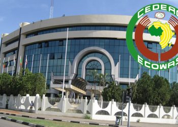 ECOWAS set to unveil single currency ECO