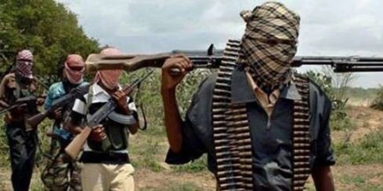 Kaduna Forest: Victims Escape As Bandits Dozed Off
