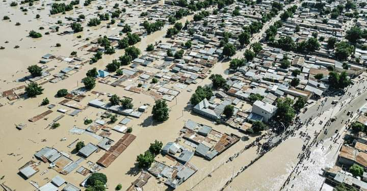 Borno Flooding: Dangote Announces N2bn Donation As FG, WHO Pledge Continuous Support,