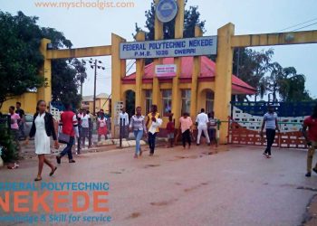 On Federal Polytechnic Nekede, Owerri Rector – selection Irregularities