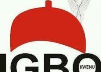 Avoid another civil war -Ex Biafran war commanders, condemn Igbo marginalization