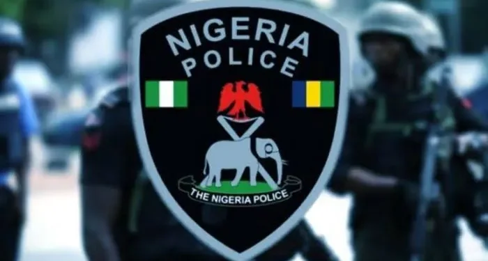 The Bill On State Police: Matters Arising (2)