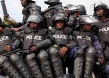 Tackling Insecurity: Government Can Start With Community Police And Forest Guards