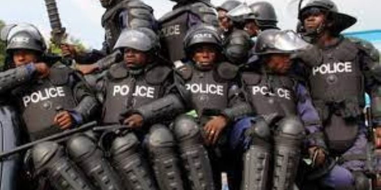 Tackling Insecurity: Government Can Start With Community Police And Forest Guards