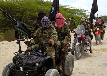 When To Barbecue The Vulture, By Wole Olaoye