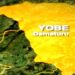 Yobe Issues Fresh Flood Alert To 9 LGs