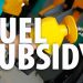 The Mathematics of Petrol Subsidy and Pricing in the Nigerian Context