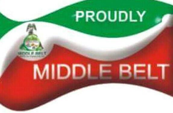 Correcting the false Middle Belt narrative over NWDC Board nominees