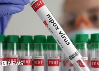 Nigeria To Begin Mpox Vaccination As WHO Approves First Test For Quick Diagnosis