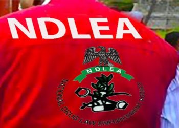 Lekki Seaport: Tramadol Worth N9bn Intercepted by NDLEA