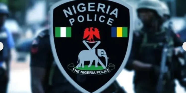 Socking: Anyone more than seven years old can be arraigned in court – Nigeria Police