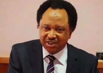 Shehu Sani seeks recognition of Nigeria’s freedom fighters