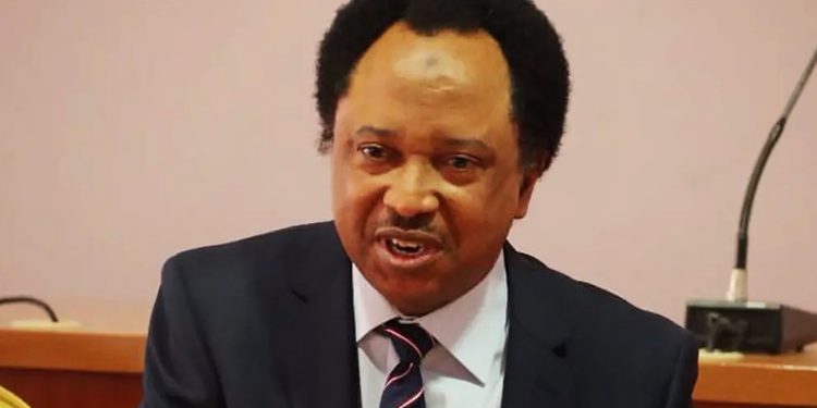 Shehu Sani seeks recognition of Nigeria’s freedom fighters
