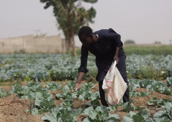 African ministers meet in Uganda to shape 10-year food security, sustainability plan