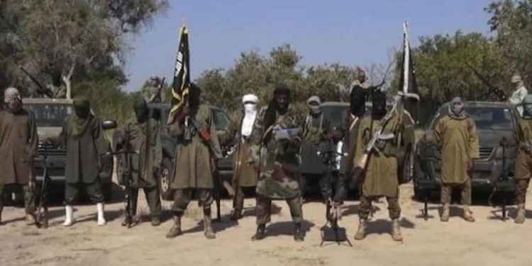 Sub-Saharan Africa accounts for 59% of global terrorism deaths – UN