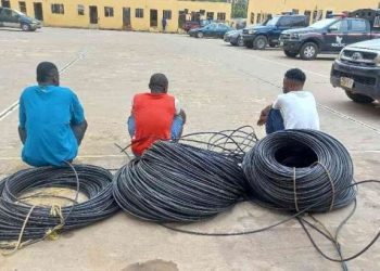 Cable theft, civic watchmen