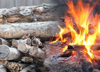 Firewood smoke kills 600,000 African women, children annually – AfDB