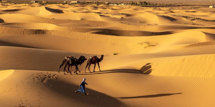 Austrian woman kidnapped in Niger: Austrian foreign ministry