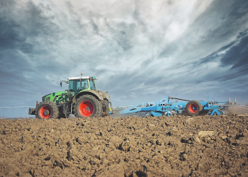 SA’s Agriculture In 2024 And Outlook For 2025