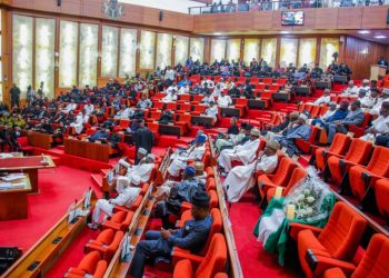 Senate suspends Auditor-General’s budget defence over infractions, lack of preparedness