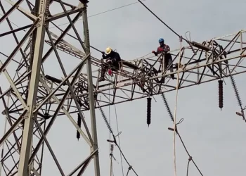 TCN refutes reports of nationwide grid collapse