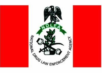 14 million Nigerians on drugs, says NDLEA