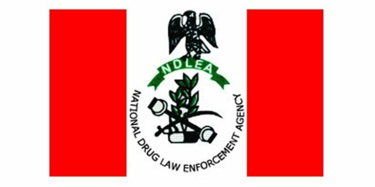 14 million Nigerians on drugs, says NDLEA
