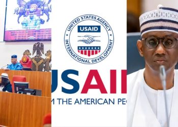 Senate Summons NSA, Security Chiefs Over Alleged USAID Funding Of Boko Haram