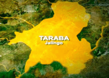 Taraba Returns 198 Rustled Cattle to Owners