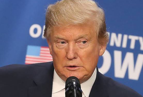 Who Will Restrain Trump? Columnist Views