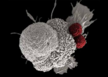 Children constitute 7.2% of annual cancer cases in Nigeria – official