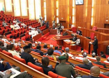 ‘Don’t make Senate a retirement home for governors’