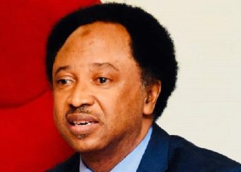 Reps’ proposal of 31 new states ironic, comical — Shehu Sani
