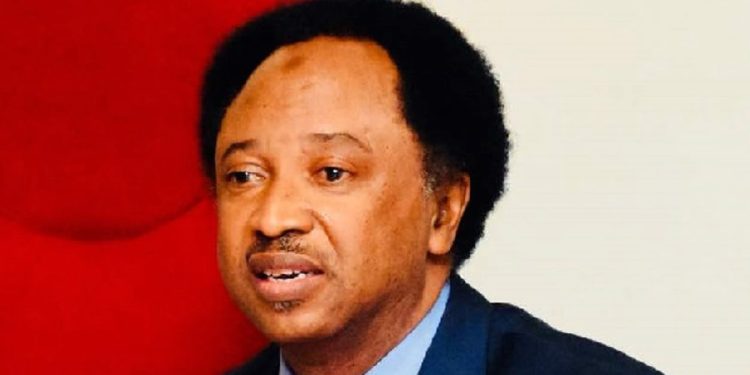 Reps’ proposal of 31 new states ironic, comical — Shehu Sani