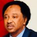 Reps’ proposal of 31 new states ironic, comical — Shehu Sani