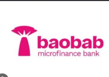 Baobab Nigeria disburses N500bn loans to MSMEs