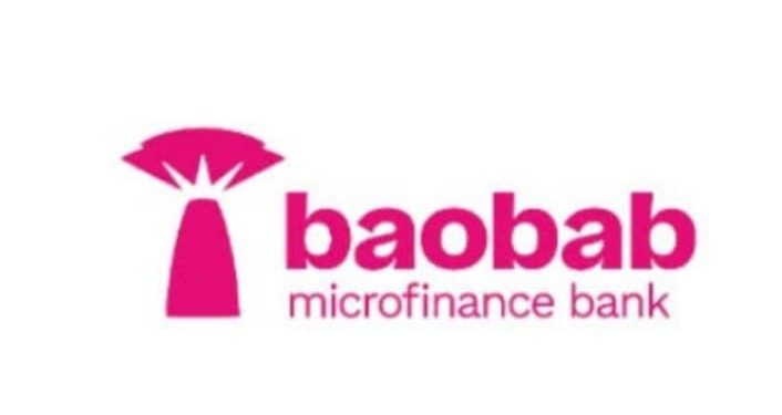 Baobab Nigeria disburses N500bn loans to MSMEs