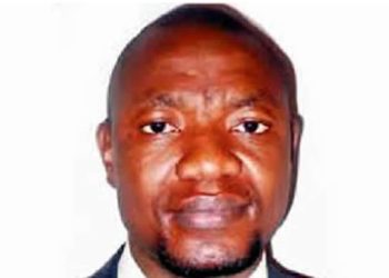 IBB, don’t build library, build farm