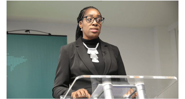 UK wants 37 new seats created for women in Nigeria’s parliament