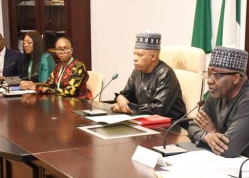 Nigeria adopts proactive flood strategy ahead rainy season