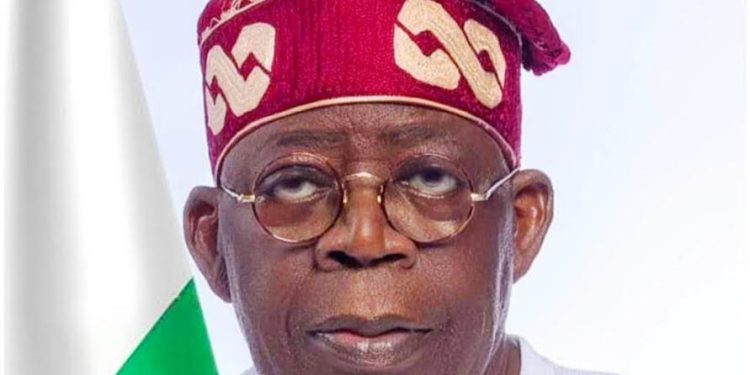 Midterm Assessment of Tinubu’s Leadership