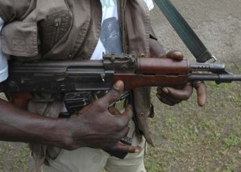 Gunmen Kill Eight, Injure Scores in Plateau Community