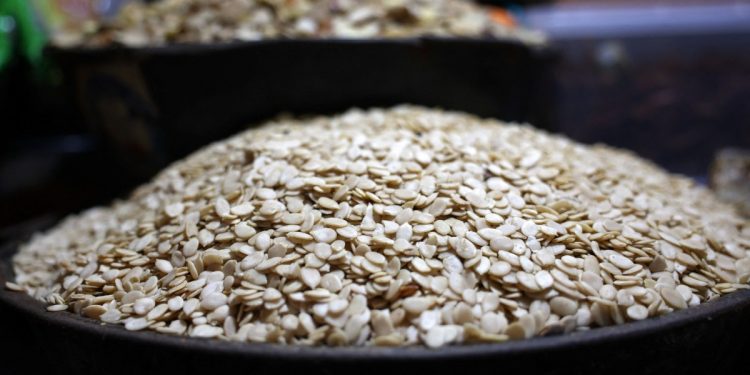 Egusi soup in space? Nigerian seeds launch into orbit